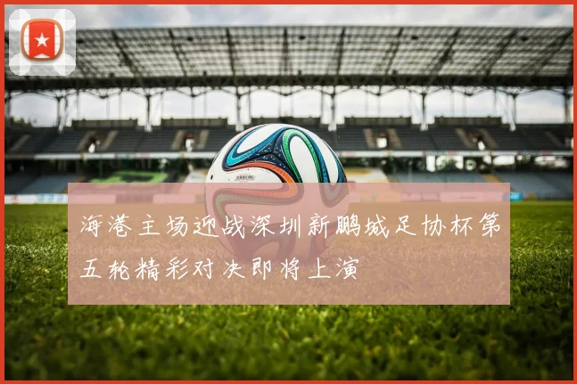 海港主场迎战深圳新鹏城足协杯第五轮精彩对决即将上演